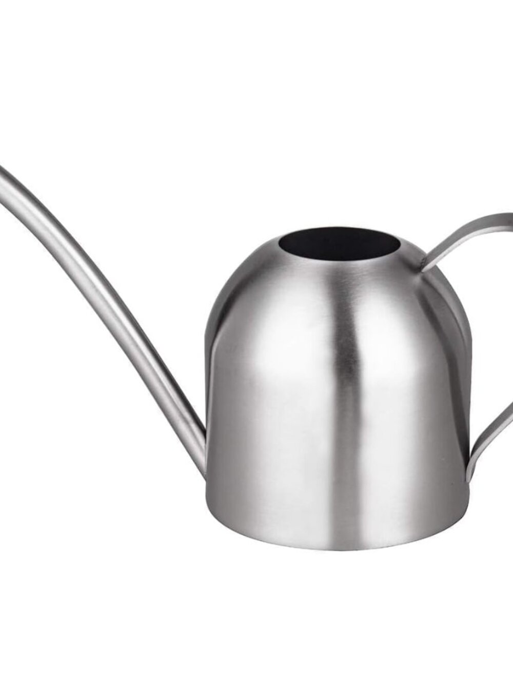 Small Watering Can for Indoor Plants, Stainless Steel with Long Spout, 15oz/450m